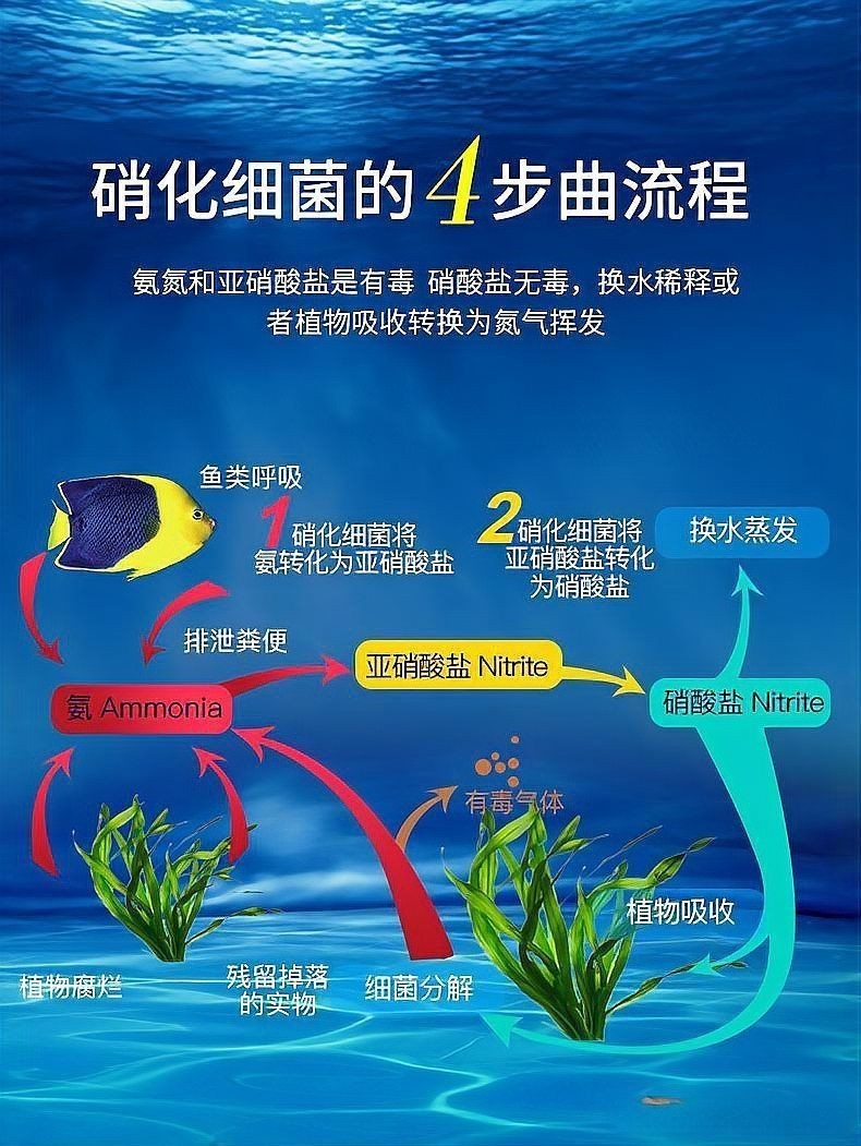 古法養(yǎng)魚怎么清理魚屎，古法養(yǎng)魚必知，輕松解決魚屎清理難題的