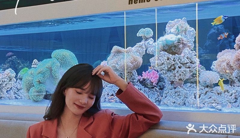 嘉興水族店，嘉興專(zhuān)業(yè)水族店——一站式觀賞魚(yú) 嘉興水族店，嘉興專(zhuān)業(yè)水族店——一站式觀賞魚(yú) 全國(guó)水族館企業(yè)名錄 第5張