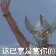 嘉興水族店，嘉興專(zhuān)業(yè)水族店——一站式觀賞魚(yú) 嘉興水族店，嘉興專(zhuān)業(yè)水族店——一站式觀賞魚(yú) 全國(guó)水族館企業(yè)名錄 第11張