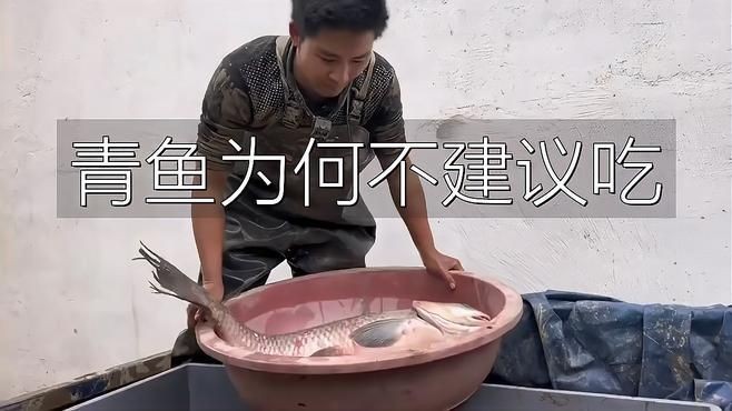 海青魚為何要盡量少吃，警惕！海青魚暗藏健康風險，這些隱患讓你必須少吃