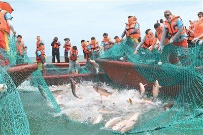 博爾塔拉蒙古自治州魚缸店，博爾塔拉蒙古自治州專業魚缸定制與水族用品一站式