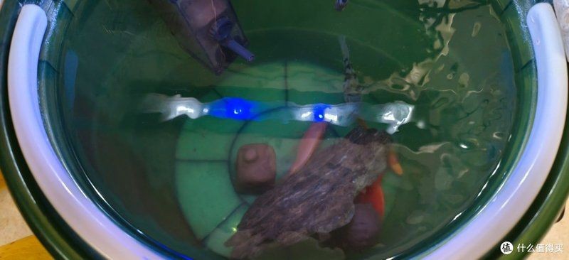 舊魚(yú)缸漏水二次補(bǔ)膠視頻，手把手教學(xué)｜舊魚(yú)缸漏水二次補(bǔ)膠