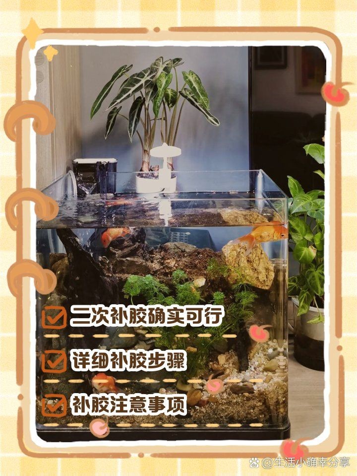 舊魚(yú)缸漏水二次補(bǔ)膠視頻，手把手教學(xué)｜舊魚(yú)缸漏水二次補(bǔ)膠