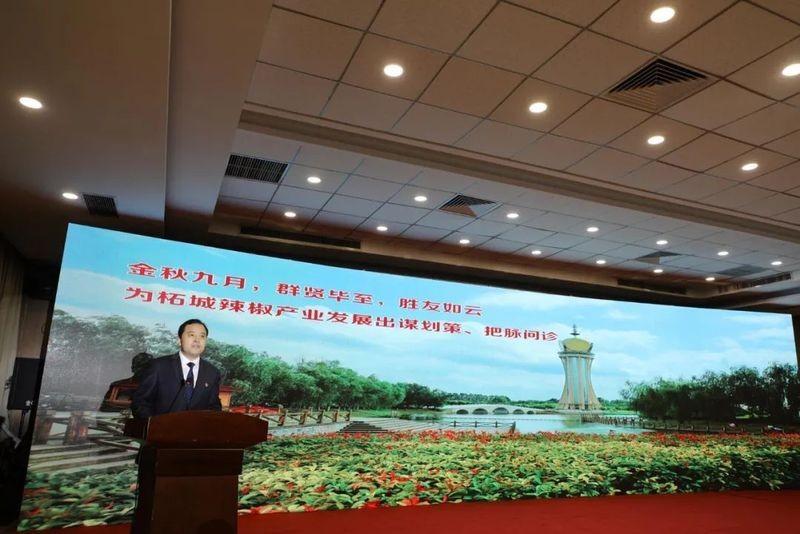 河南紅綠辣椒董事長簡介，豫企風采｜河南紅綠辣椒董事長成長之路與企業發展