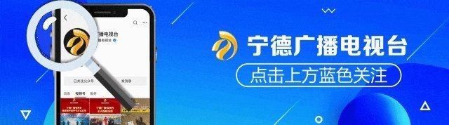寧德水族批發市場，寧德水族批發市場，一站式水族用品