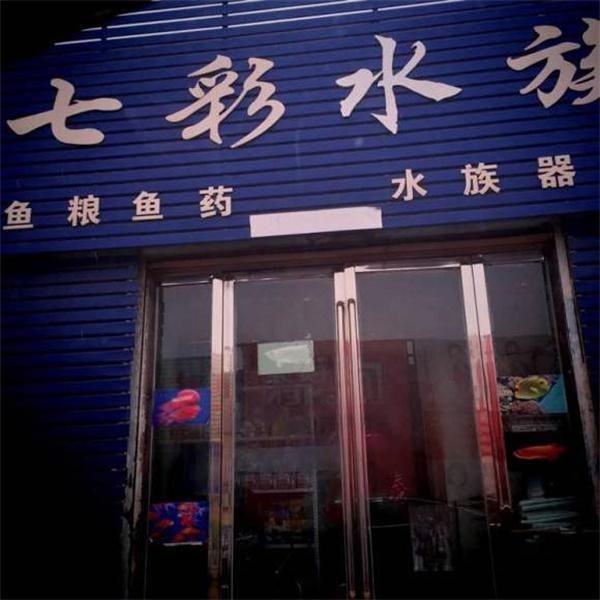 加盟水族館哪家最靠譜,揭秘!當下最具實力的水族館加盟品牌TOP榜 龍魚論壇 第3張 加盟水族館哪家最靠譜,揭秘!當下最具實力的水族館加盟品牌TOP榜 加盟水族館哪家最靠譜,揭秘!當下最具實力的水族館加盟品牌TOP榜 龍魚論壇 第3張