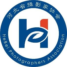 海洋集團于俊海個人資料，海洋集團于俊海個人履歷及 海洋集團于俊海個人資料，海洋集團于俊海個人履歷及 龍魚論壇 第8張