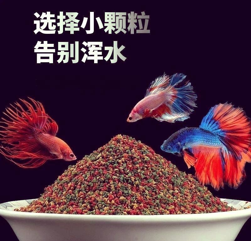 好魚糧為何不能亂吃，警惕！優質魚糧也需科學投喂，盲目喂食 好魚糧為何不能亂吃，警惕！優質魚糧也需科學投喂，盲目喂食 全國水族館企業名錄 第8張
