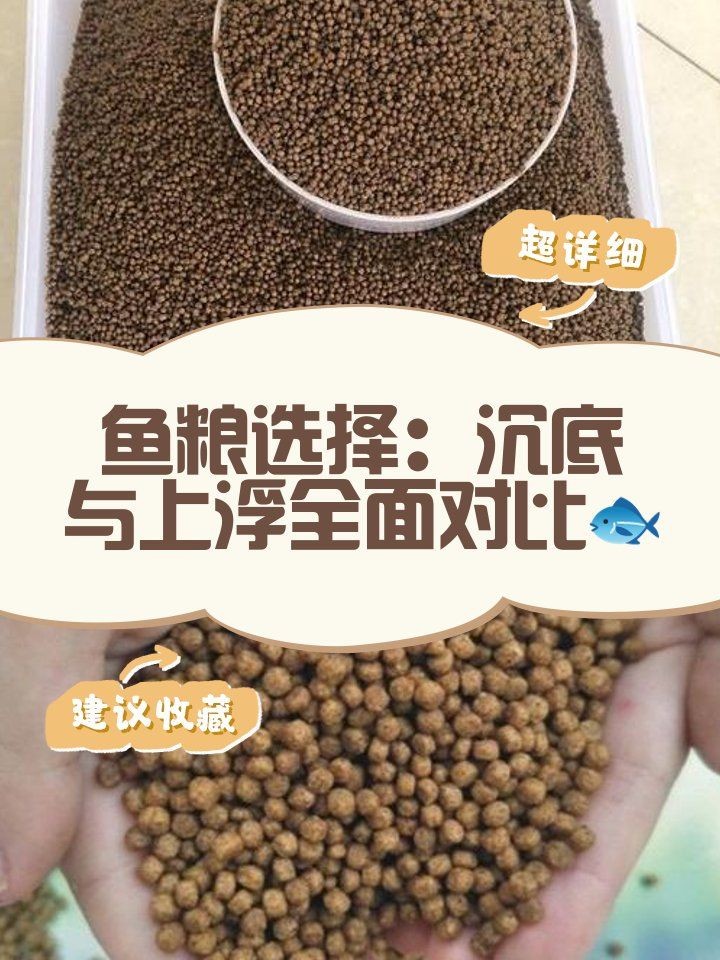 好魚糧為何不能亂吃，警惕！優質魚糧也需科學投喂，盲目喂食 好魚糧為何不能亂吃，警惕！優質魚糧也需科學投喂，盲目喂食 全國水族館企業名錄 第2張