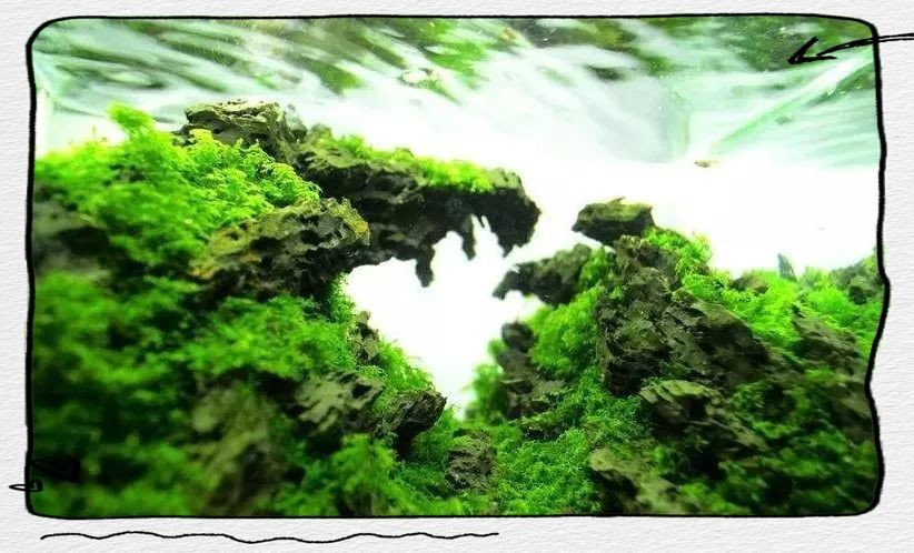 吉印燈養水草的正確方法，吉印燈賦能水草養護，精準調控打造水下綠植秘境