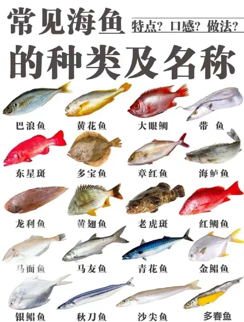 海魚圖片大全大圖，超清全球珍稀海魚高清圖片合集，沉浸式海洋生物視覺盛宴