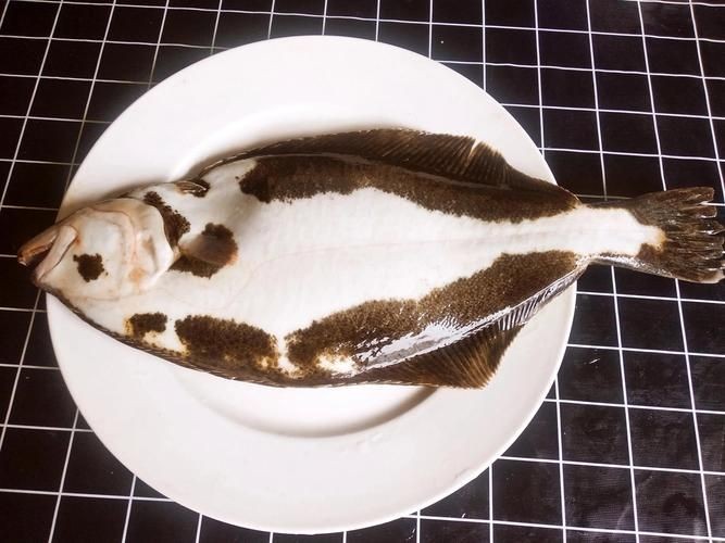 海魚圖片大全大圖，超清全球珍稀海魚高清圖片合集，沉浸式海洋生物視覺盛宴