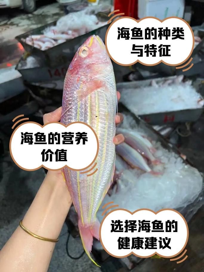 海魚圖片大全大圖，超清全球珍稀海魚高清圖片合集，沉浸式海洋生物視覺盛宴