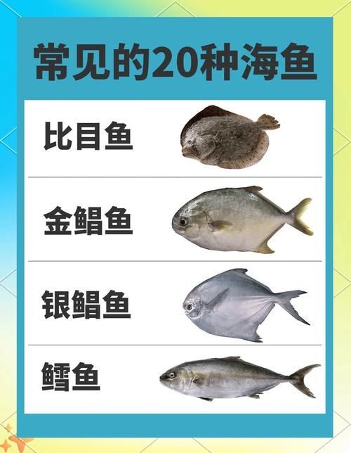 海魚圖片大全大圖，超清全球珍稀海魚高清圖片合集，沉浸式海洋生物視覺盛宴