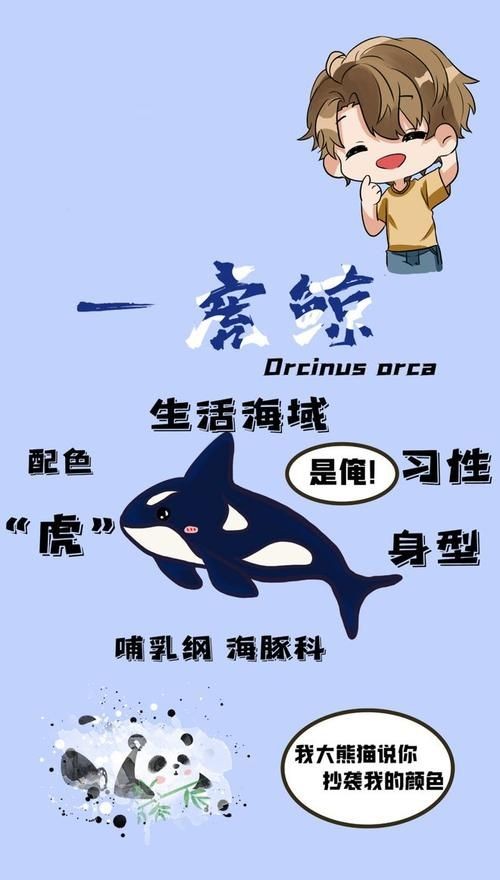 海虎動物圖片，探索海洋霸主，超清海虎動物 海虎動物圖片，探索海洋霸主，超清海虎動物 龍魚論壇 第9張