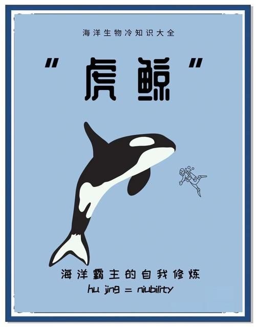 海虎動物圖片，探索海洋霸主，超清海虎動物 海虎動物圖片，探索海洋霸主，超清海虎動物 龍魚論壇 第18張
