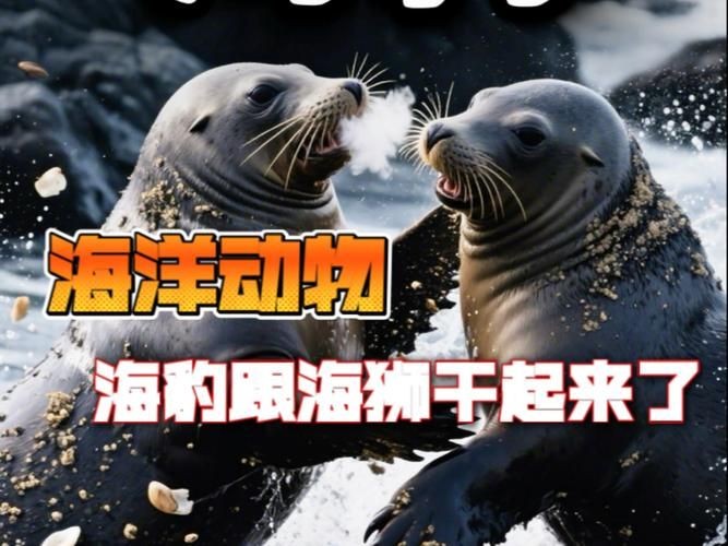 海虎動物圖片，探索海洋霸主，超清海虎動物 海虎動物圖片，探索海洋霸主，超清海虎動物 龍魚論壇 第19張
