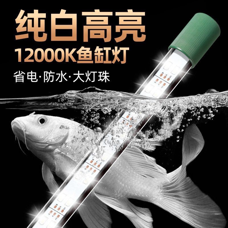 吉印海水燈，吉印海域·流光溢彩