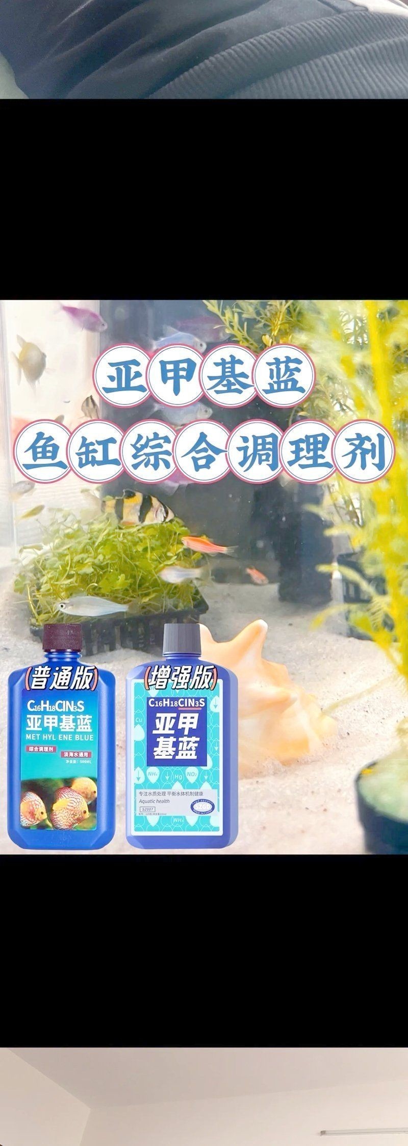 亞甲基藍對炸鱗有效嗎，亞甲基藍治療觀賞魚炸鱗病癥的實際功效解析