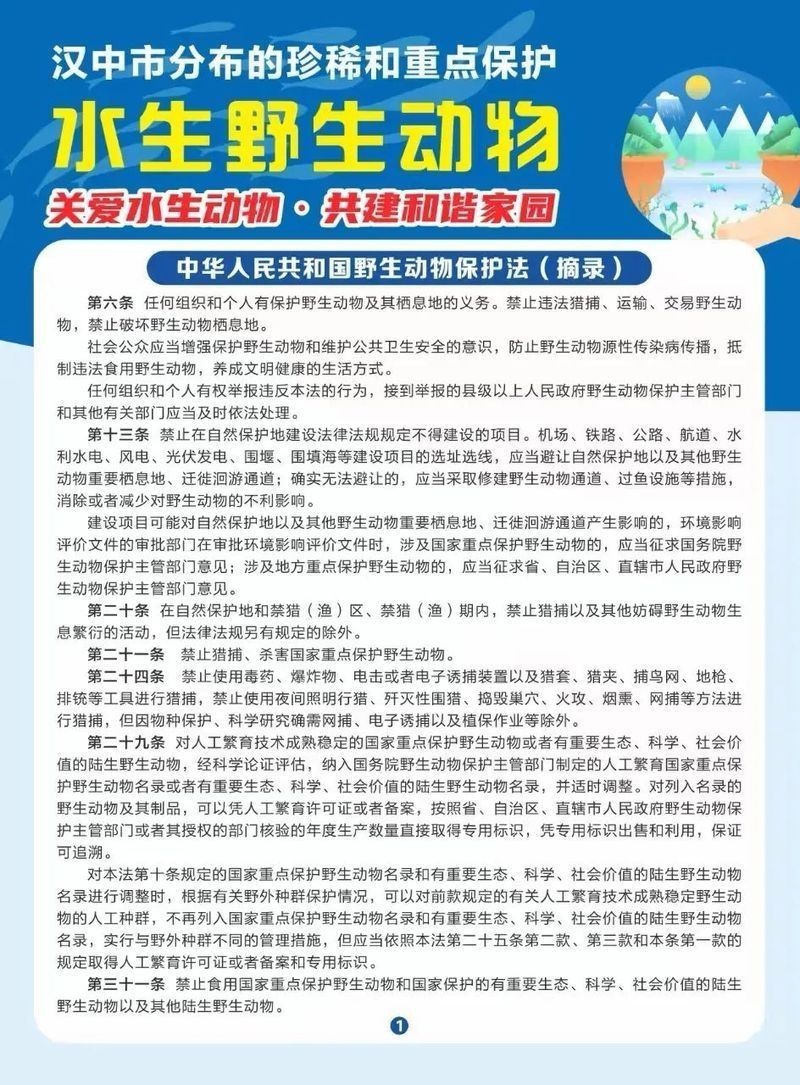 國(guó)家一二級(jí)保護(hù)野生魚(yú)類大全，權(quán)威名錄國(guó)家一二級(jí)重點(diǎn)