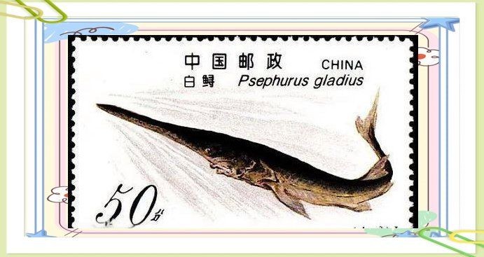 國(guó)家一二級(jí)保護(hù)野生魚(yú)類大全，權(quán)威名錄國(guó)家一二級(jí)重點(diǎn)