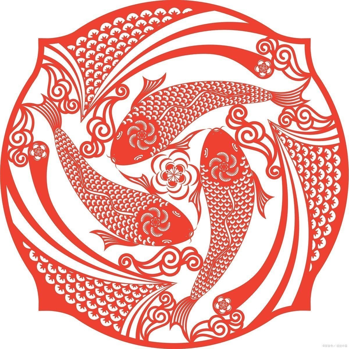 海象魚的寓意及象征意義，解碼海象魚，探尋其獨特寓意與深層 海象魚的寓意及象征意義，解碼海象魚，探尋其獨特寓意與深層 龍魚論壇 第5張