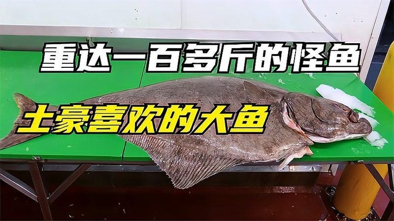 哥倫比亞巨暴魚價格，揭秘哥倫比亞巨暴魚最新