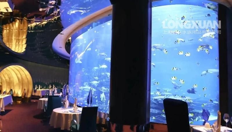 宜春魚缸定做，宜春專業魚缸定制｜個性化