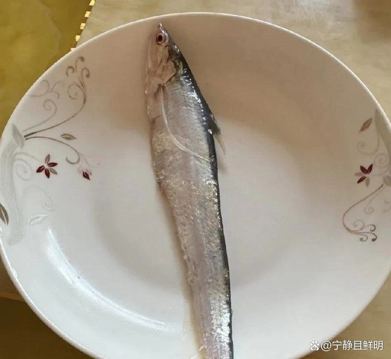 河刀魚(yú)是河魚(yú)還是海魚(yú)，深度解析，河刀魚(yú)到底是河魚(yú)