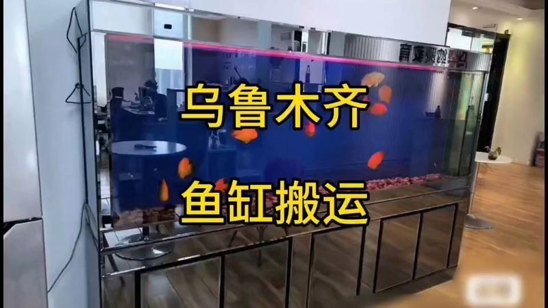 烏魯木齊魚缸定做，烏魯木齊專業魚缸定制設計制作一站式