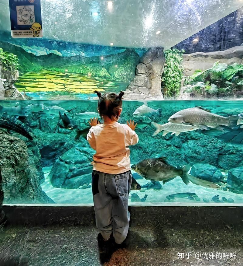 海洋水族館游玩攻略，超詳細(xì)！海洋水族館
