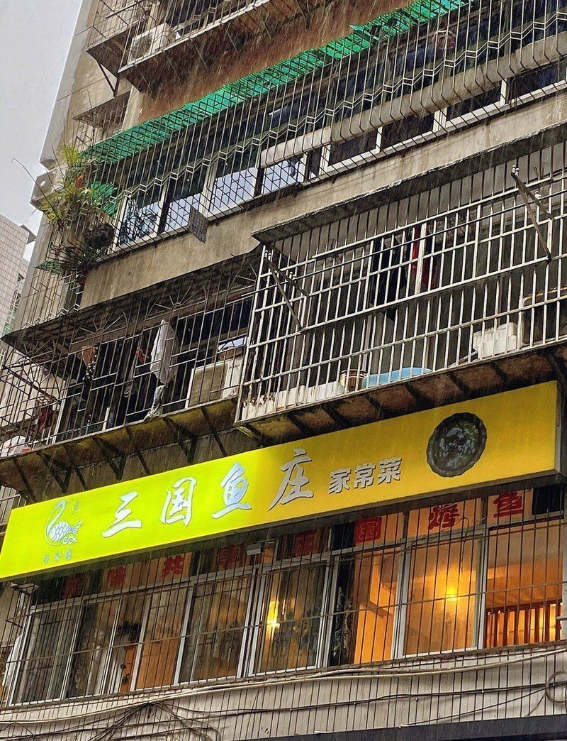 三明龍魚店，三明龍魚店，精選優(yōu)質(zhì)龍魚，開啟你的水 三明龍魚店，三明龍魚店，精選優(yōu)質(zhì)龍魚，開啟你的水 全國水族館企業(yè)名錄 第7張