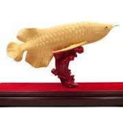 養金龍魚的風水講究，揭秘！養金龍魚的風水講究與禁忌，助