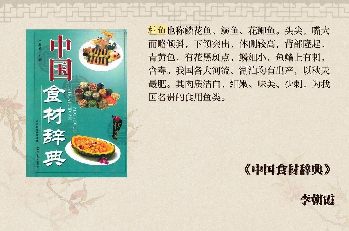 桂魚就是老虎魚嗎，深度解析，桂魚與老虎魚究竟是否為同