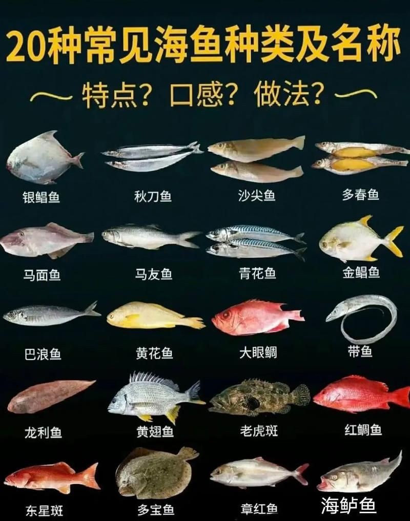海魚圖片大全名稱，超全收錄全球常見海魚高清美圖+詳細(xì)學(xué)名對照
