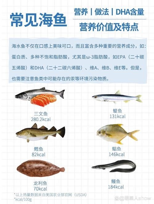 海魚圖片大全名稱，超全收錄全球常見海魚高清美圖+詳細(xì)學(xué)名對照