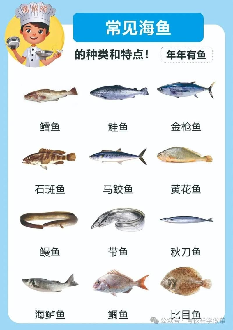 海魚圖片大全名稱，超全收錄全球常見海魚高清美圖+詳細(xì)學(xué)名對照