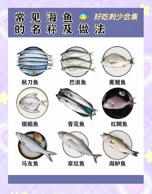 海魚圖片大全名稱，超全收錄全球常見海魚高清美圖+詳細(xì)學(xué)名對照