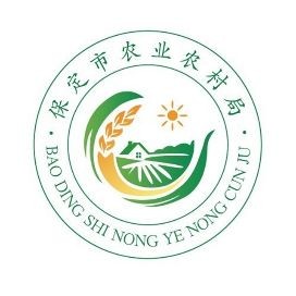 建鯉是鯉魚還是鯉魚，深度解析，建鯉到底是不是傳統(tǒng)意義上的鯉魚 建鯉是鯉魚還是鯉魚，深度解析，建鯉到底是不是傳統(tǒng)意義上的鯉魚 龍魚論壇 第19張