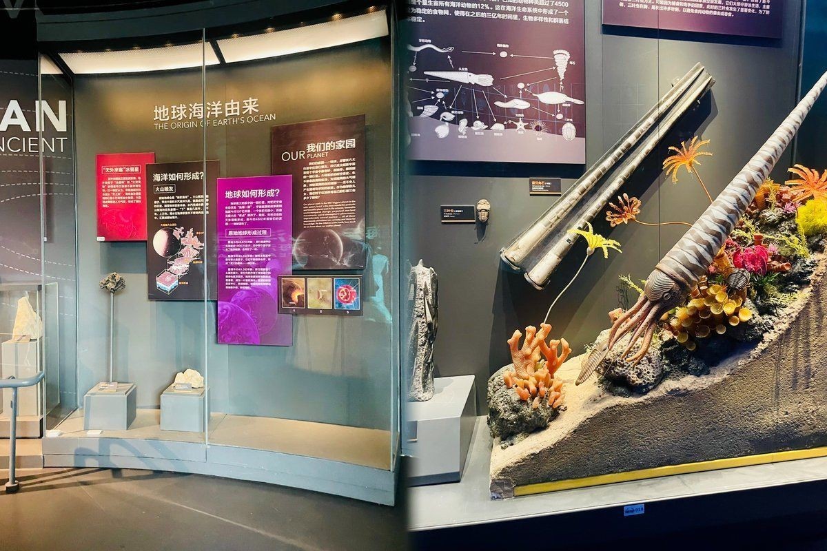 海洋館必帶10件物品，親子游必備逛海洋館必帶的10件實用物品