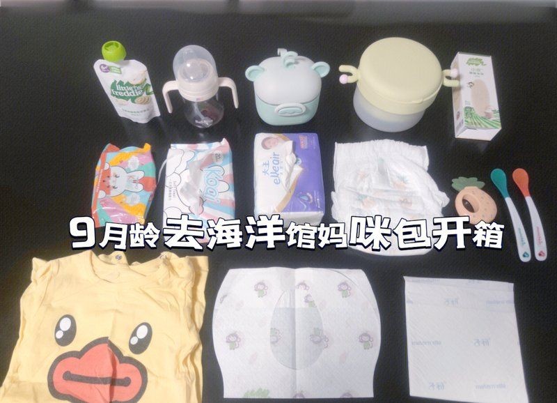 海洋館必帶10件物品，親子游必備逛海洋館必帶的10件實用物品
