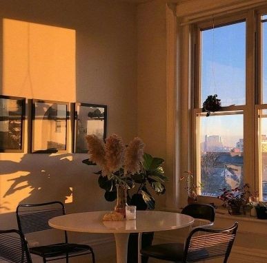 海洋館必帶10件物品，親子游必備逛海洋館必帶的10件實用物品