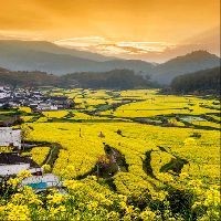 吉隆坡旅游景點，吉隆坡旅游景點必去推薦，探索城市精華 吉隆坡旅游景點，吉隆坡旅游景點必去推薦，探索城市精華 全國水族館企業(yè)名錄 第2張