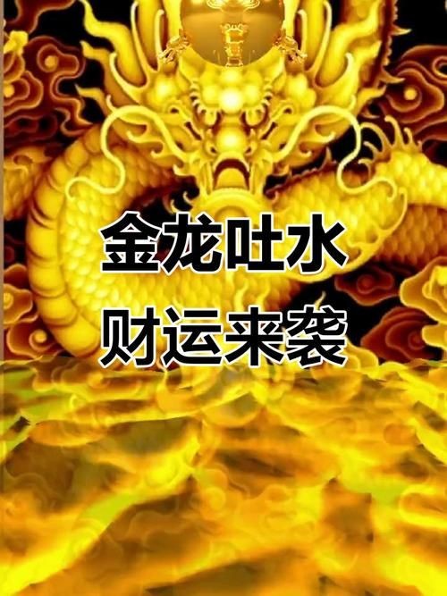 聚財金龍圖片大全，祥瑞納福聚財金龍高清圖片大全，