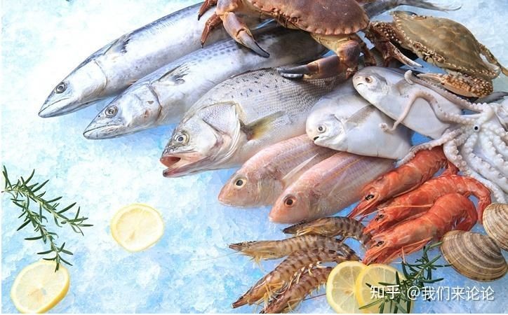 國外的觀賞魚怎么進口到國內，如何將國外觀賞魚合法進口至 國外的觀賞魚怎么進口到國內，如何將國外觀賞魚合法進口至 全國水族館企業名錄 第1張