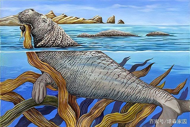 海牛滅絕了嗎，探尋真相，海牛