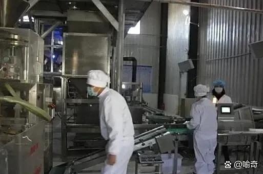 莒縣金禾集團，莒縣金禾集團，深耕本土產業，鑄就