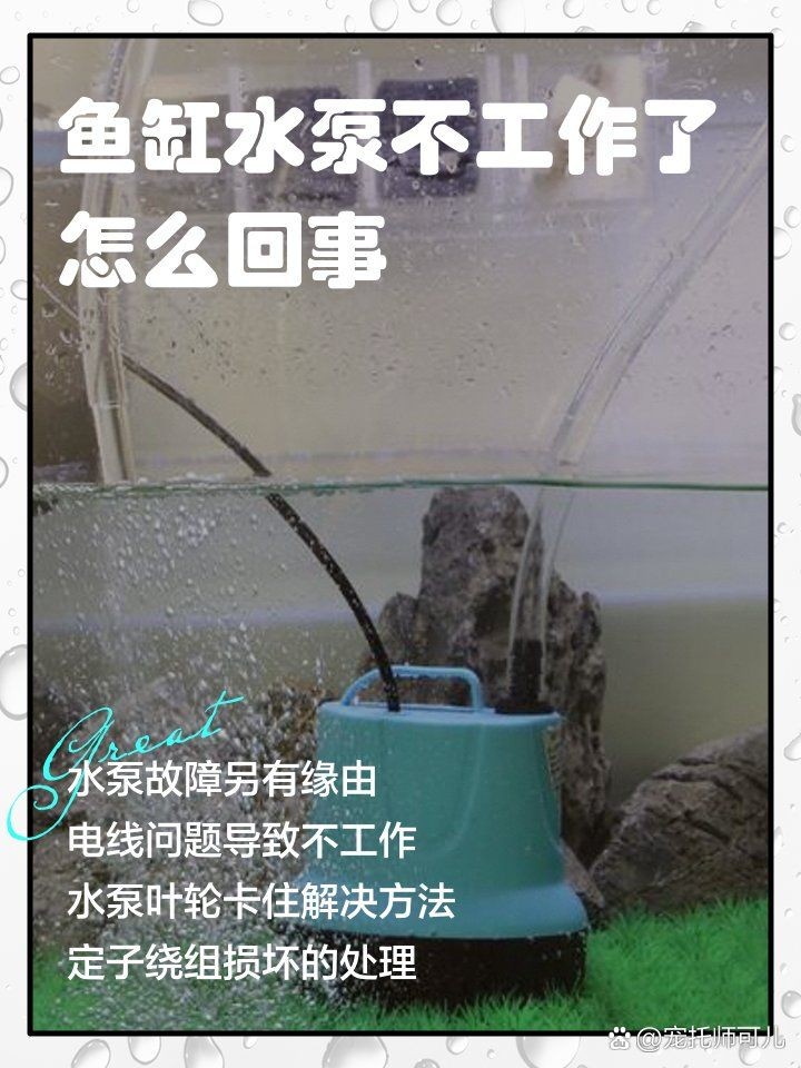 吉印魚缸潛水泵的常見故障與維修方法，吉印魚缸潛水泵故障排查與維修處理全攻略 吉印魚缸潛水泵的常見故障與維修方法，吉印魚缸潛水泵故障排查與維修處理全攻略 全國水族館企業名錄 第3張