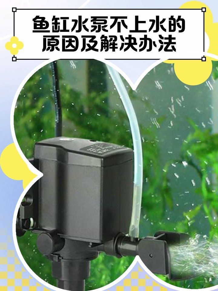 吉印魚缸潛水泵的常見故障與維修方法，吉印魚缸潛水泵故障排查與維修處理全攻略 吉印魚缸潛水泵的常見故障與維修方法，吉印魚缸潛水泵故障排查與維修處理全攻略 全國水族館企業名錄 第5張