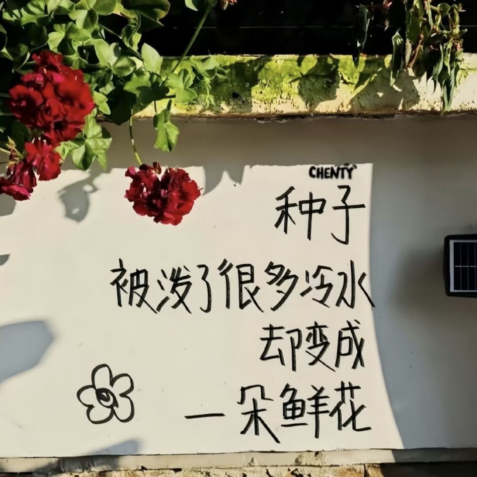 佛說魚安葬的正確方法，佛教儀軌指引，魚類往生善終的